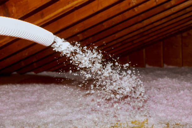 Best Insulation Installation Services in Heber Springs, AR